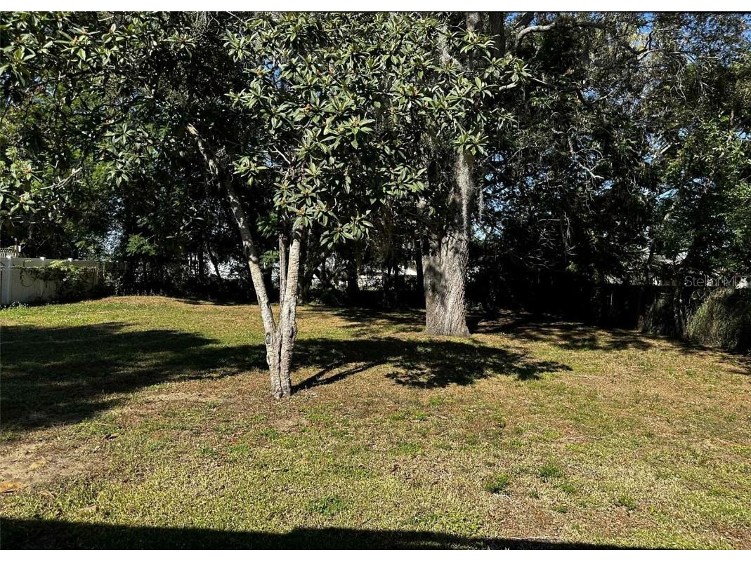 115 E Chesley Avenue Eustis FL 32726 G5104541 image16