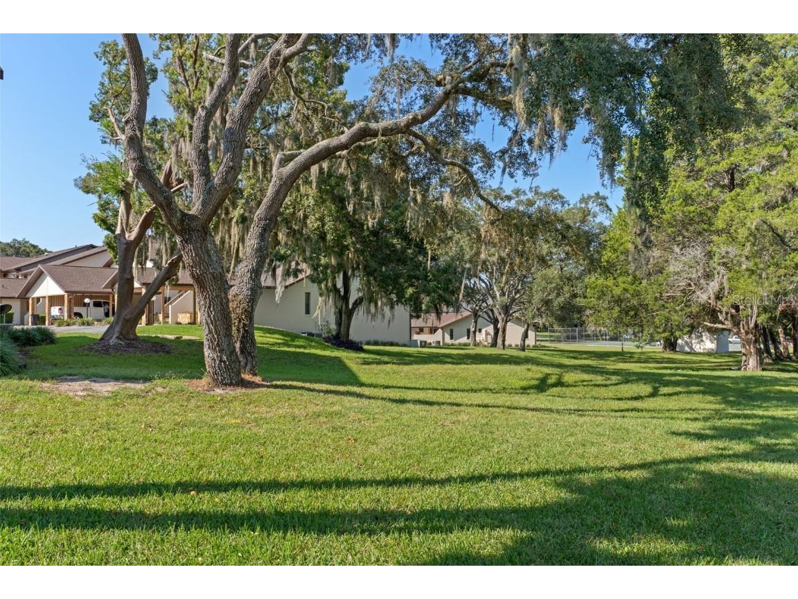 115 E Hartford Street #4A Hernando FL 34442 OM709987 image34