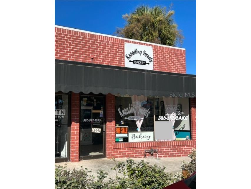 115 E Rich Avenue Deland FL 32724 V4933611 image1