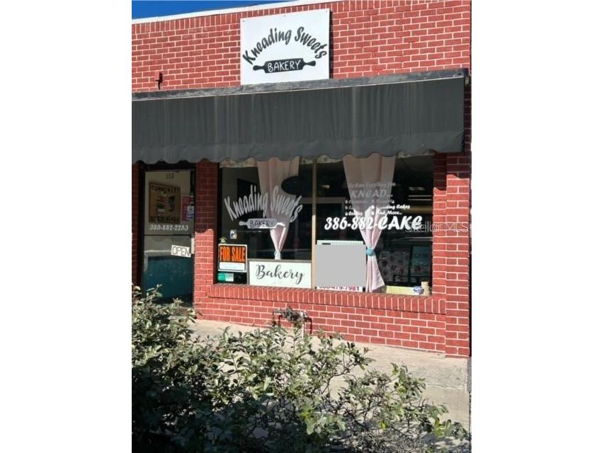 115 E Rich Avenue Deland FL 32724 V4934805 image1