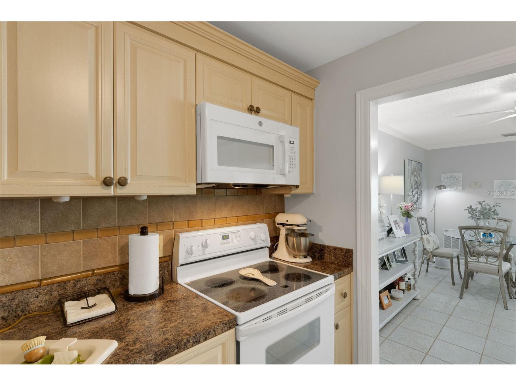 115 Elmwood Circle #115 Seminole FL 33777 TB8508196 image19