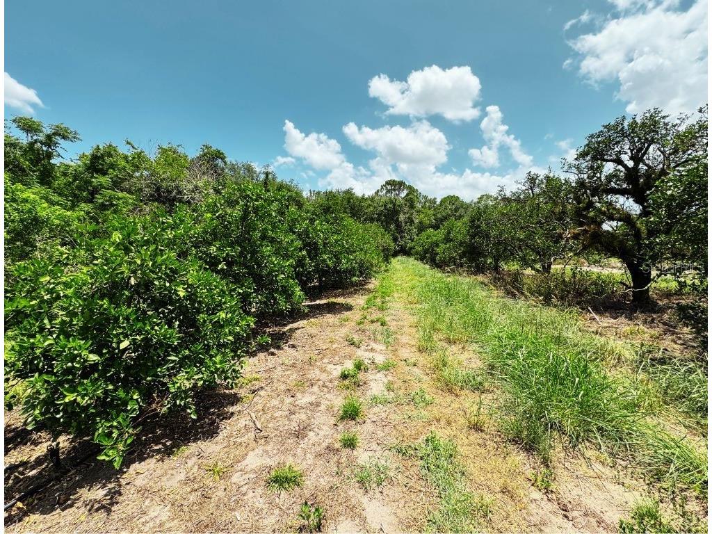 115 Heinley Road Lake Placid FL 33852 - LAKE PERSIMMON L4962202 image29
