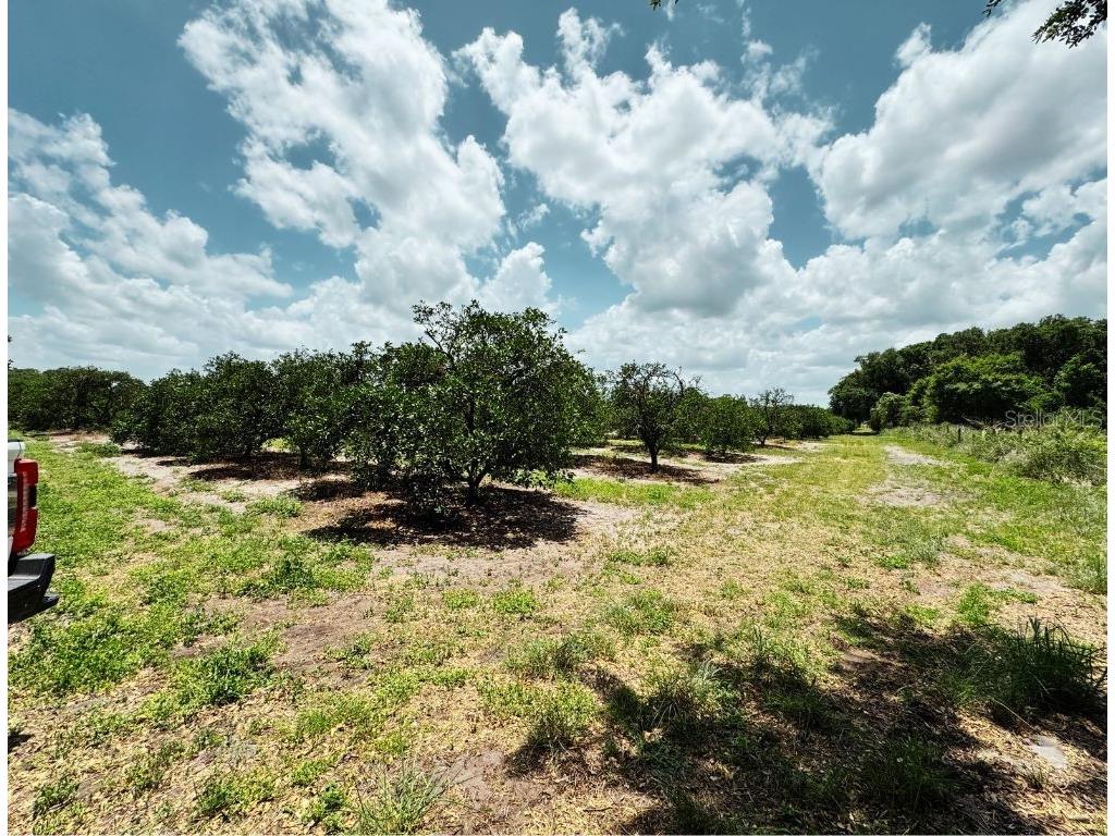 115 Heinley Road Lake Placid FL 33852 - LAKE PERSIMMON L4962202 image31