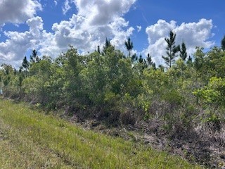 115 Japonica Avenue Indian Lake Estates FL 33855 TB8499175 image1