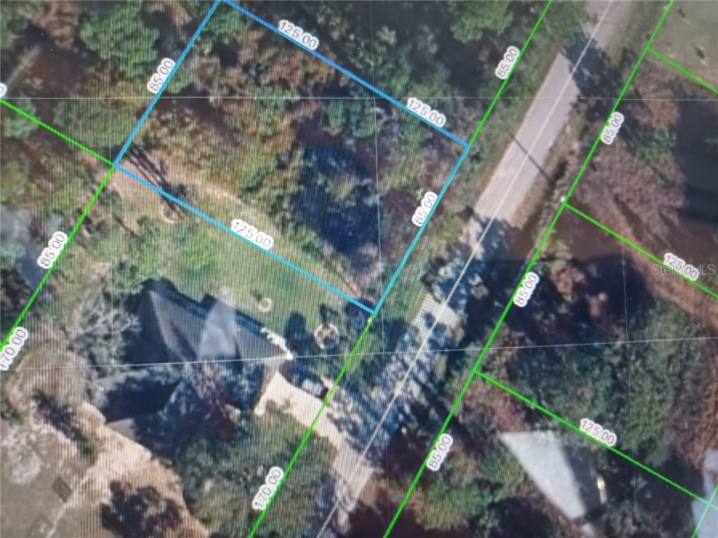 115 Kaiser Avenue NW Lake Placid FL 33852 O6154524 image1