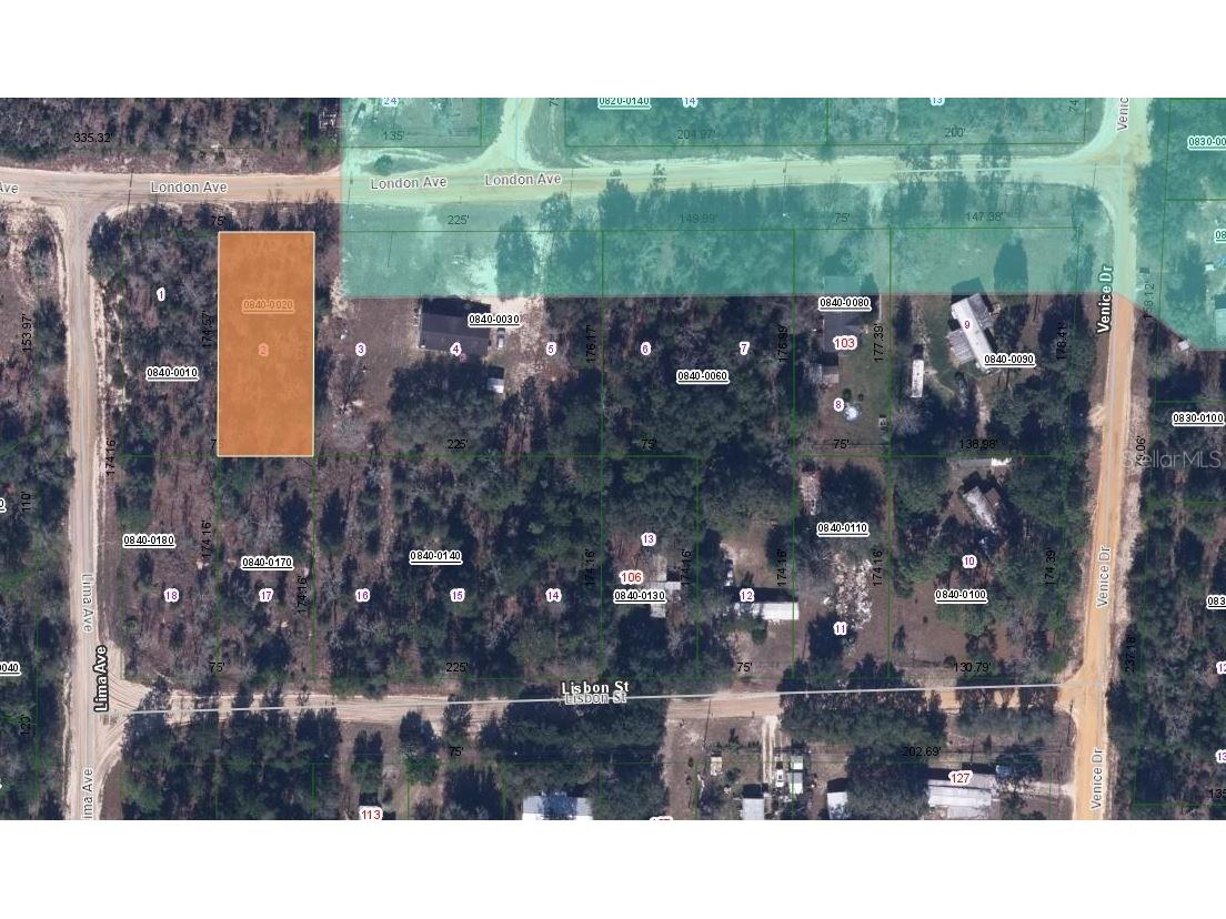 115 London Avenue Interlachen FL 32148 OM626673 image3