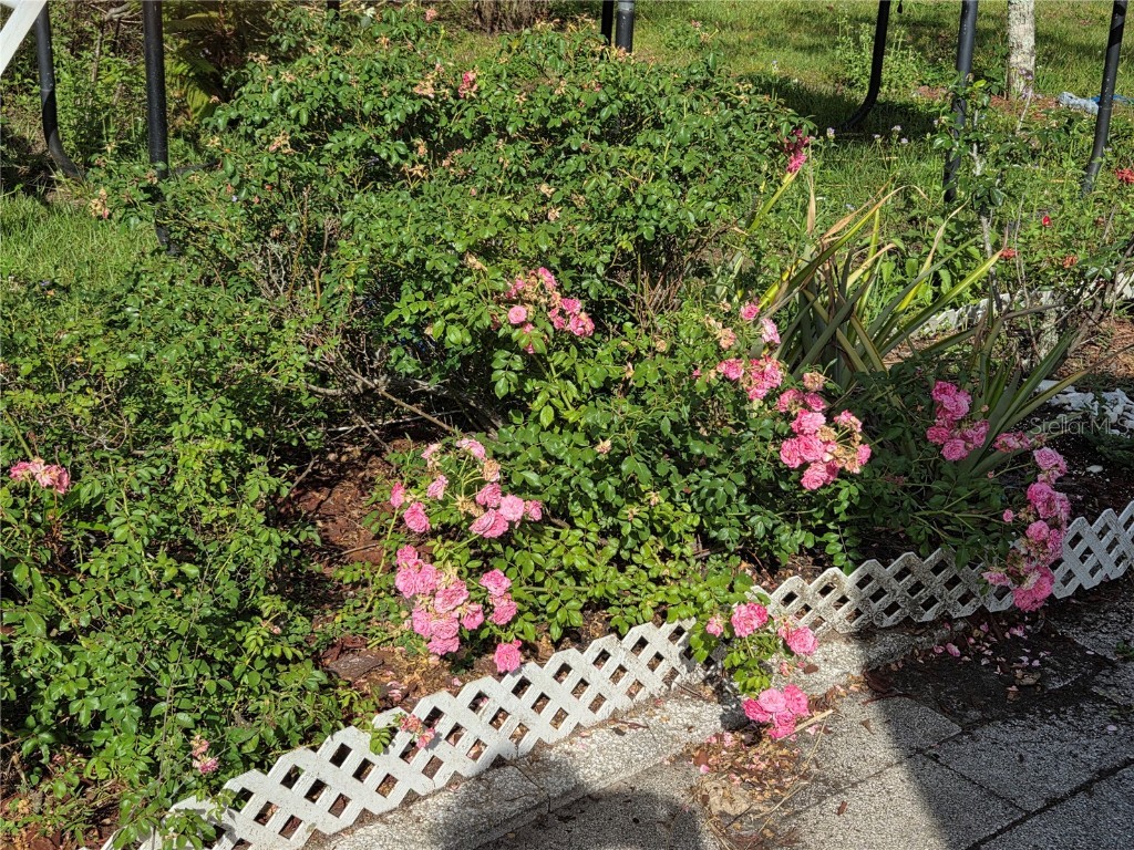 115 Marjorie Avenue Auburndale FL 33823 TB8385816 image15