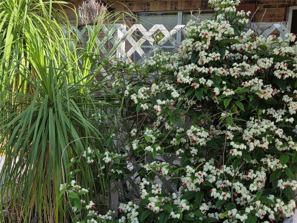 115 Marjorie Avenue Auburndale FL 33823 TB8385816 image16