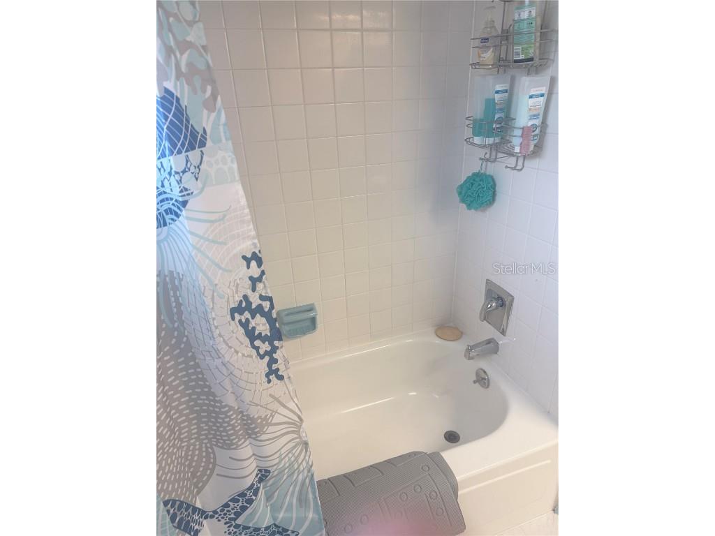 115 Morrow Circle Brandon FL 33510 TB8455227 image38