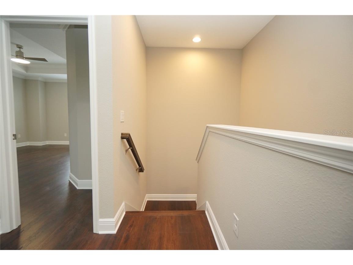 115 N Arrawana Avenue #8 Tampa FL 33609 TB8447643 image18