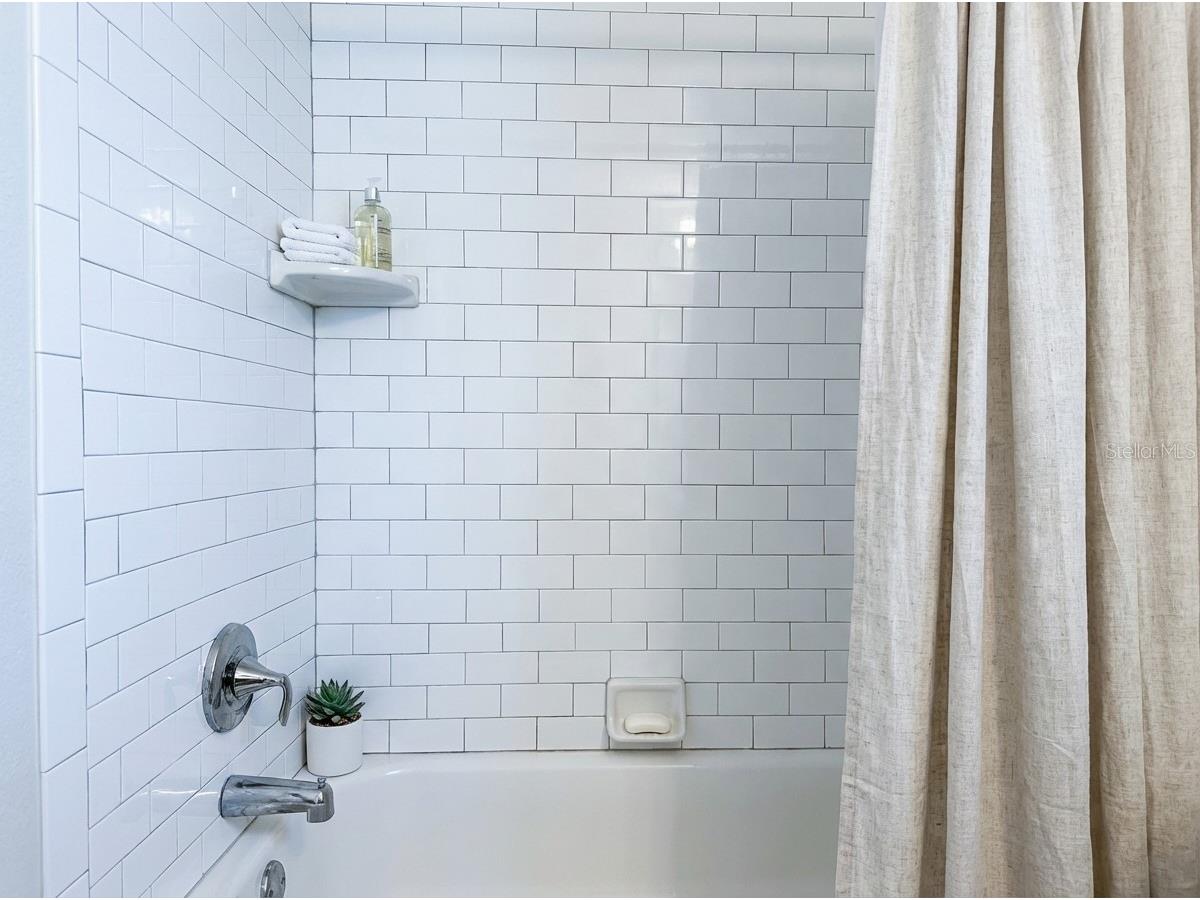 115 Palmetto Court #115 Oldsmar FL 34677 TB8432105 image10