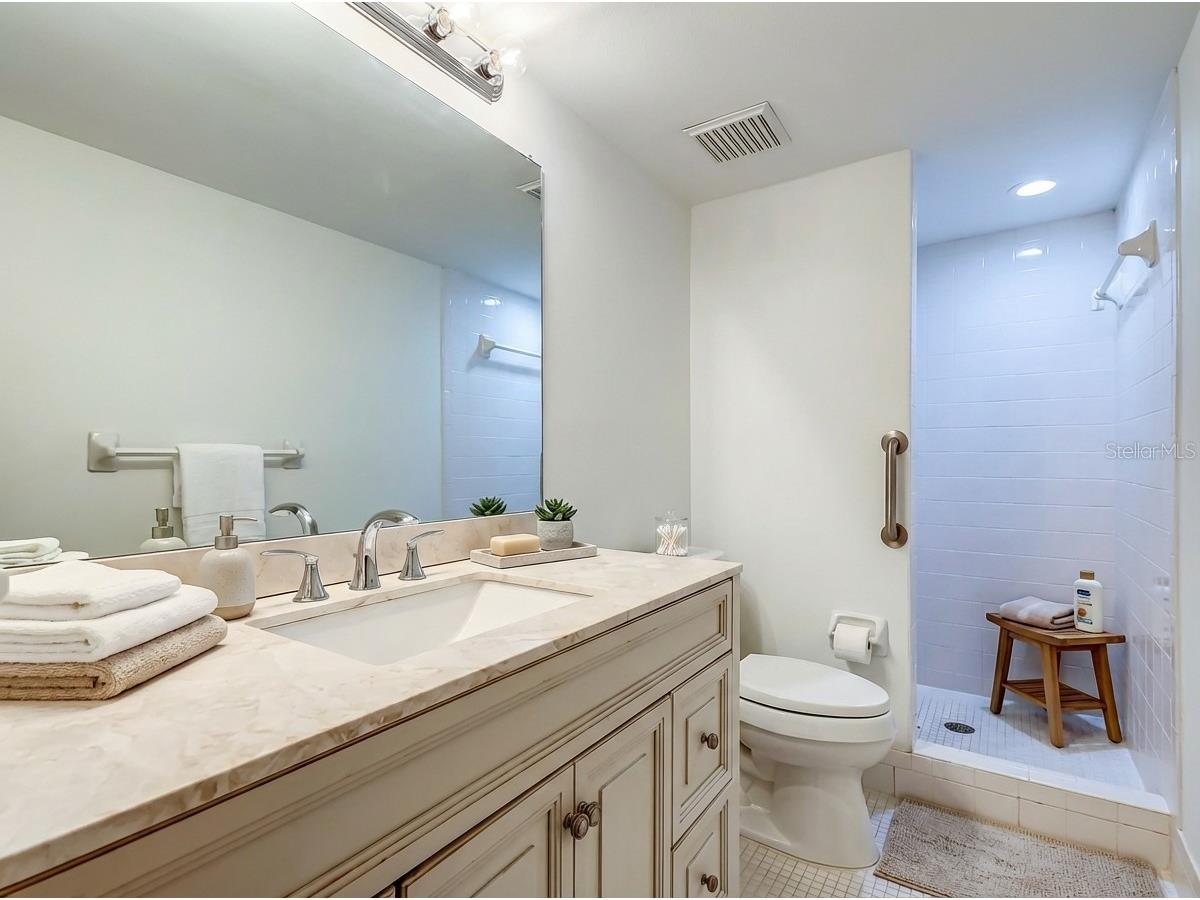 115 Palmetto Court #115 Oldsmar FL 34677 TB8432105 image13