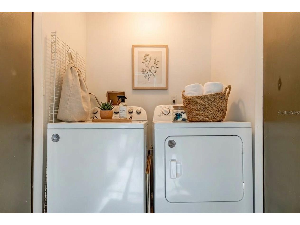 115 Palmetto Court #115 Oldsmar FL 34677 TB8432105 image15