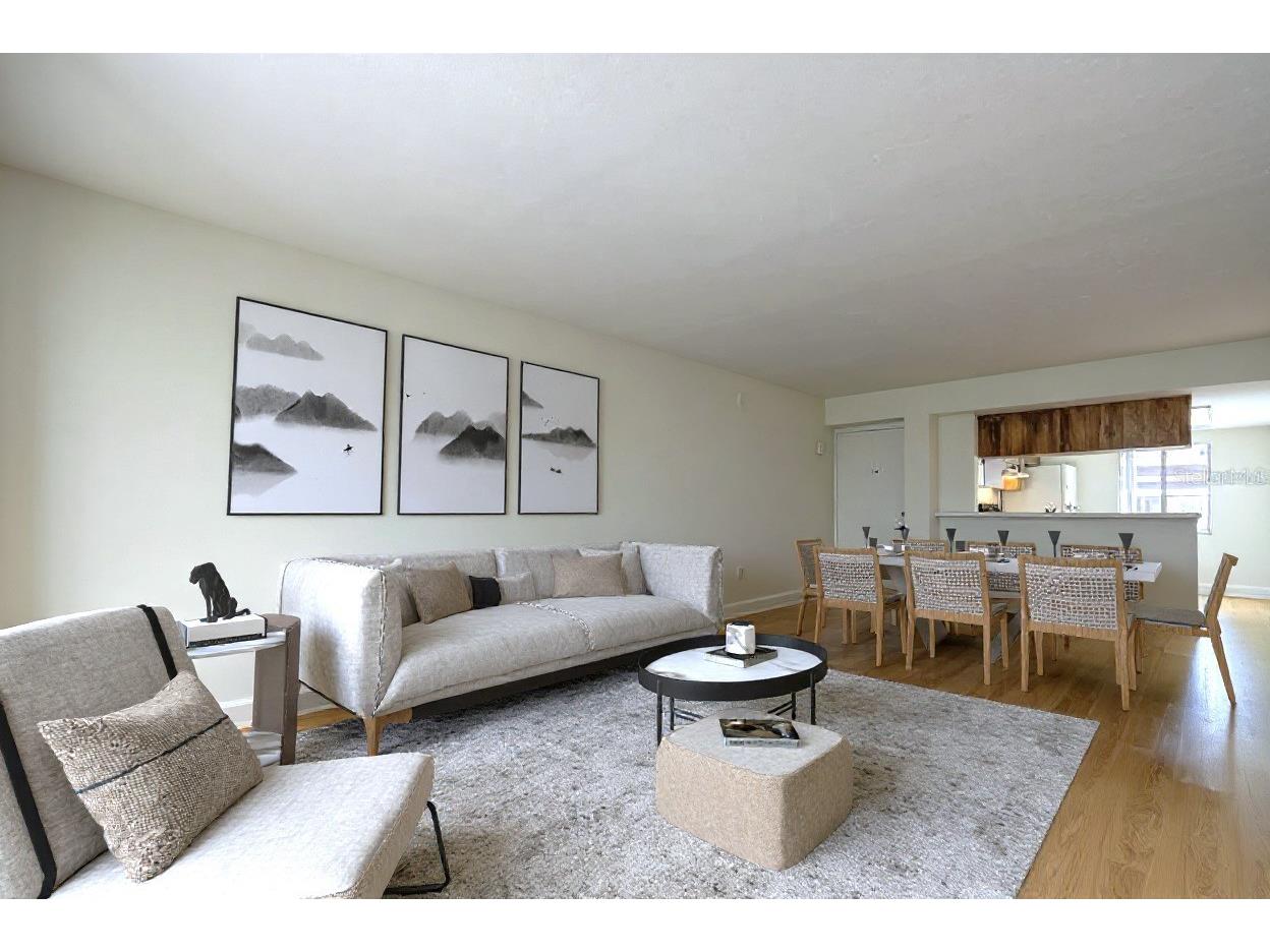 115 Palmetto Court #115 Oldsmar FL 34677 TB8432105 image2