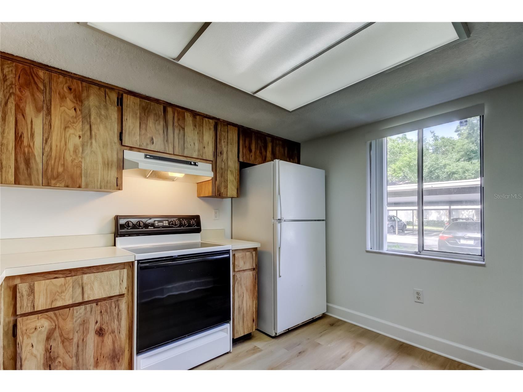 115 Palmetto Court #115 Oldsmar FL 34677 TB8432105 image25