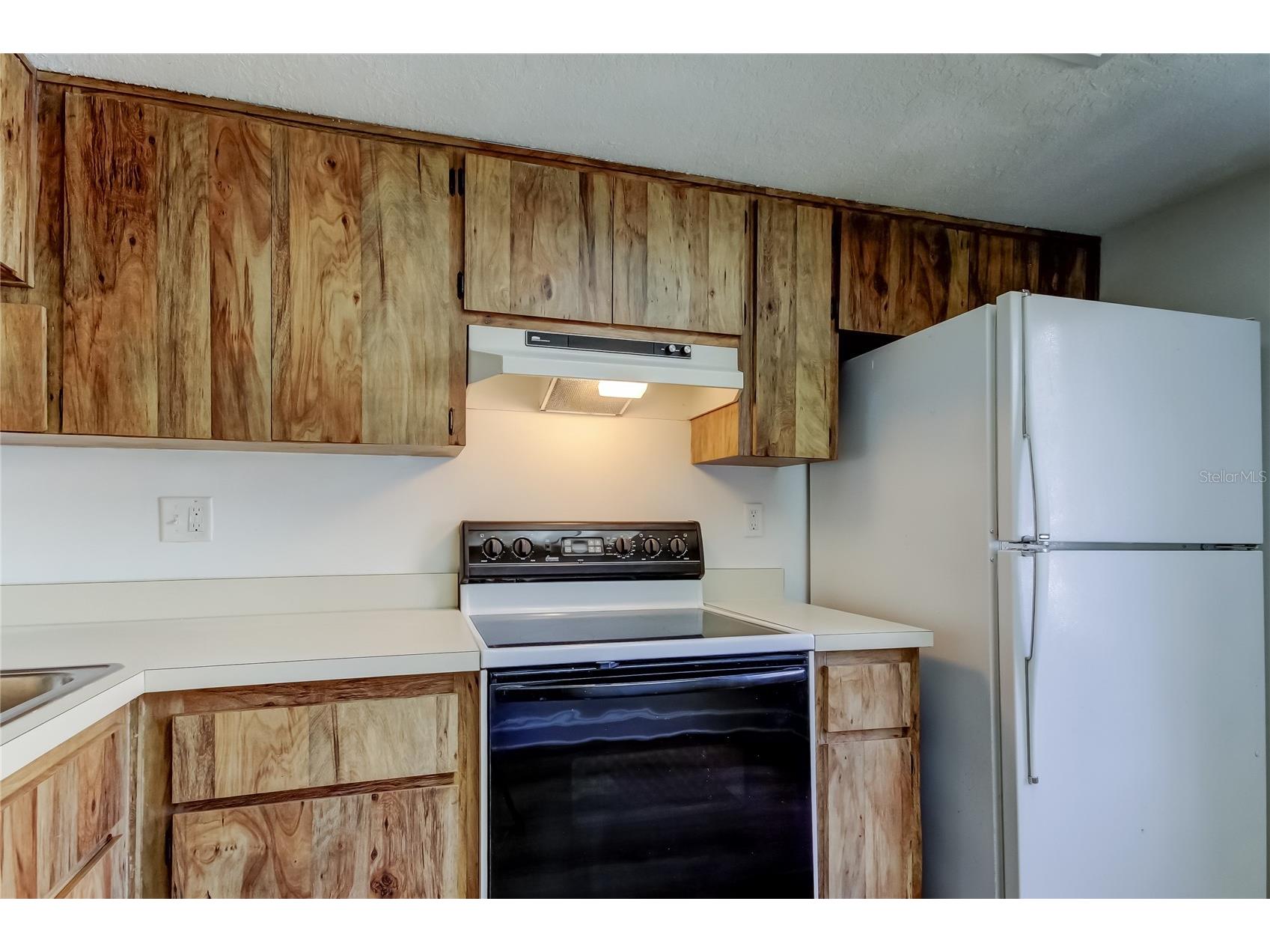 115 Palmetto Court #115 Oldsmar FL 34677 TB8432105 image26