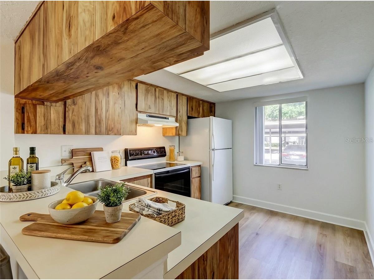 115 Palmetto Court #115 Oldsmar FL 34677 TB8432105 image7