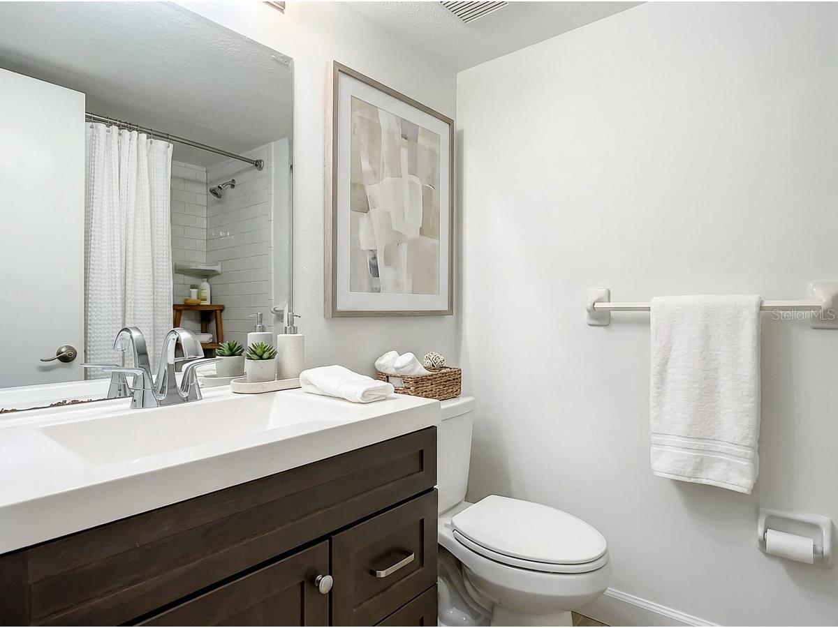 115 Palmetto Court #115 Oldsmar FL 34677 TB8432105 image9