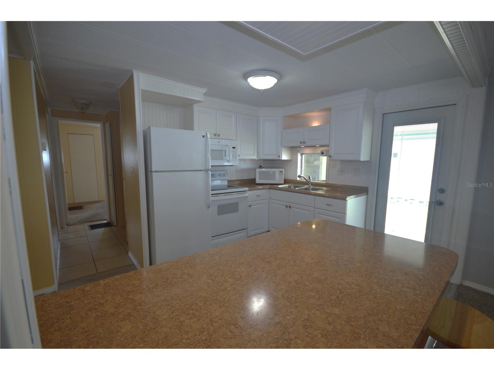 115 Rachel Drive Tarpon Springs FL 34689 TB8507524 image30