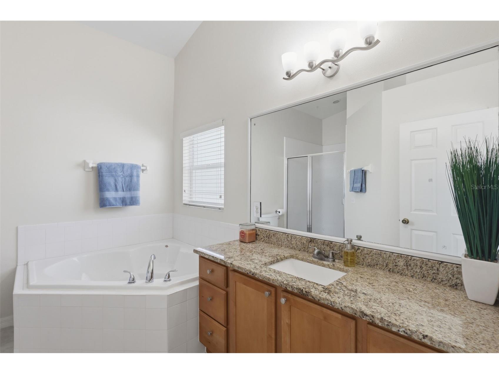 115 Rachel Lin Lane Saint Cloud FL 34771 O6415242 image23