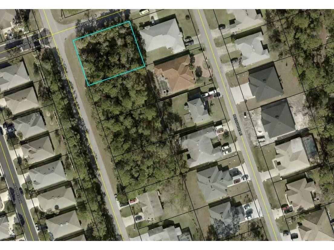 115 Rae Drive Palm Coast FL 32164 TB8432681 image1