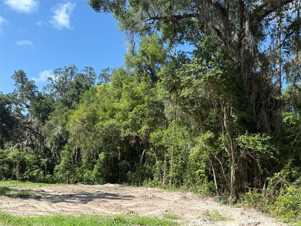 115 Roddy Lane Palatka FL 32177 OK225130 image2