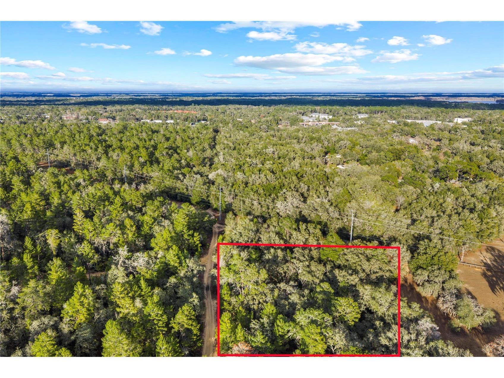115 S Crestview Avenue Inverness FL 34452 OM716923 image11