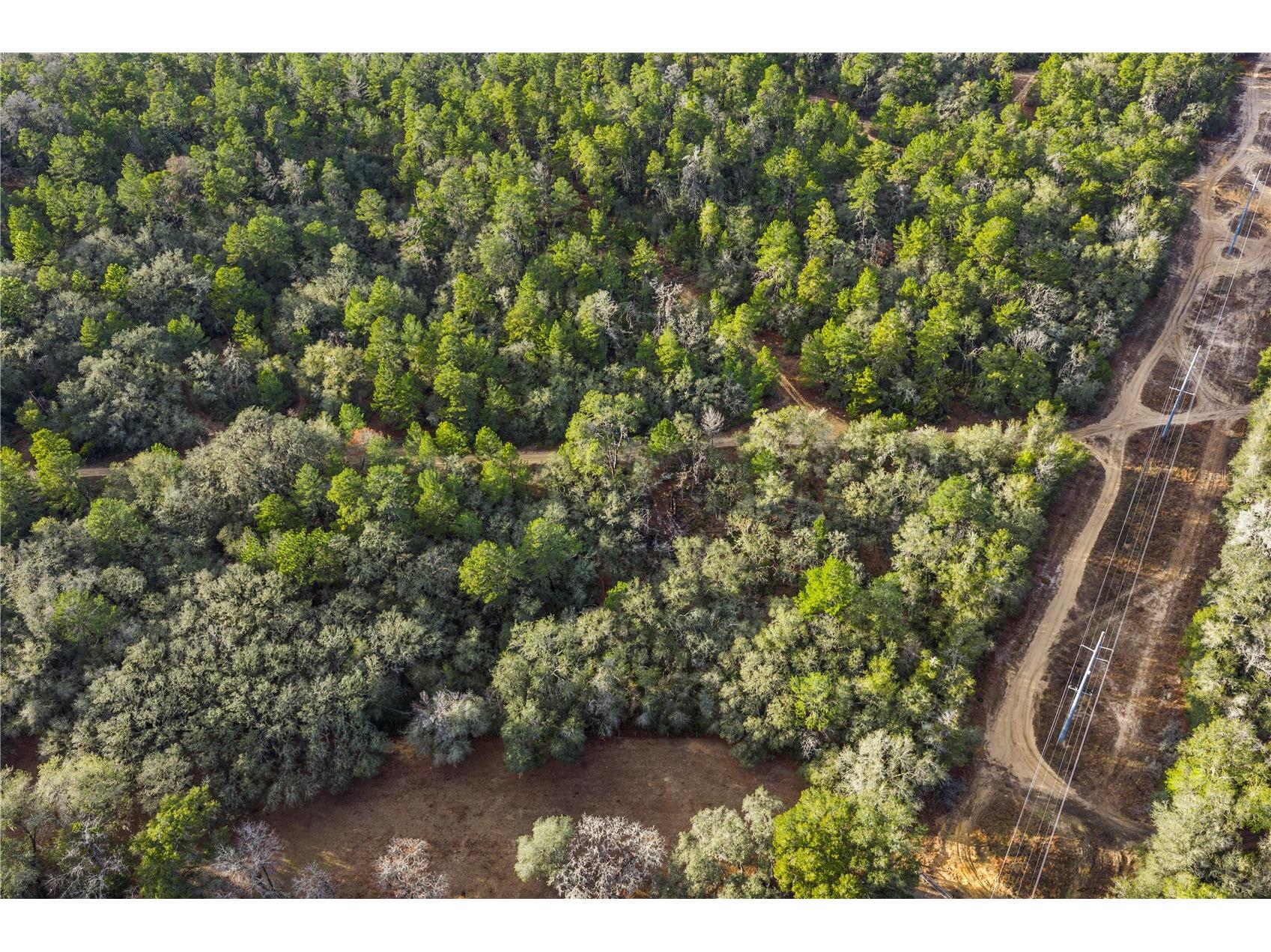 115 S Crestview Avenue Inverness FL 34452 OM716923 image14