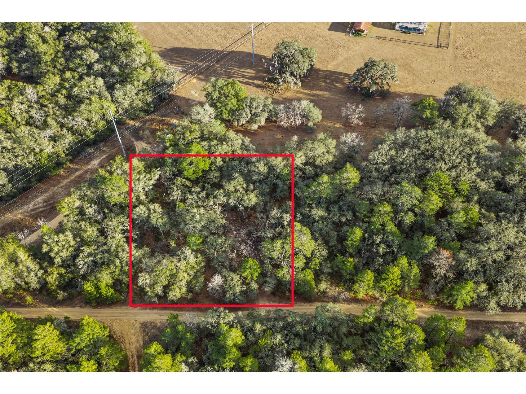 115 S Crestview Avenue Inverness FL 34452 OM716923 image15