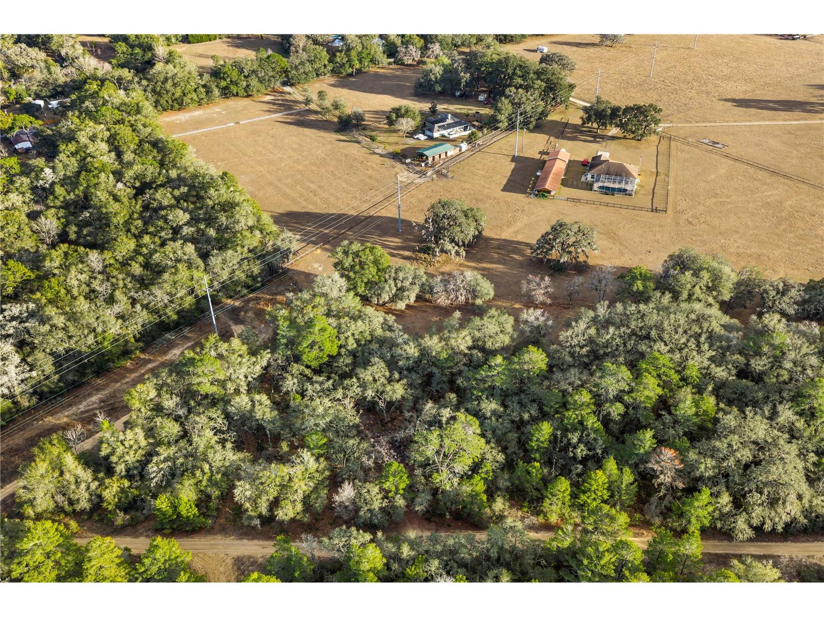 115 S Crestview Avenue Inverness FL 34452 OM716923 image17