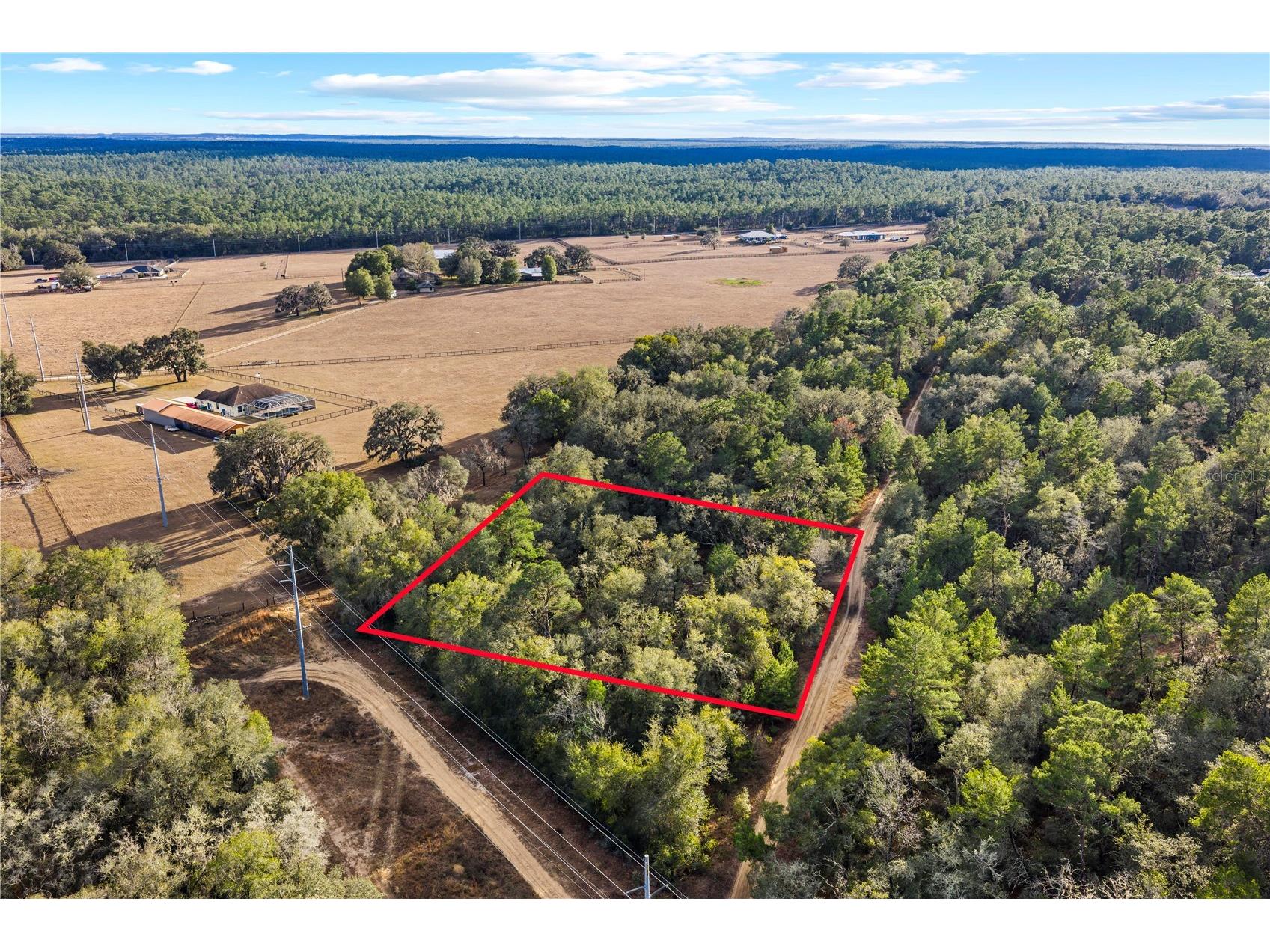 115 S Crestview Avenue Inverness FL 34452 OM716923 image18