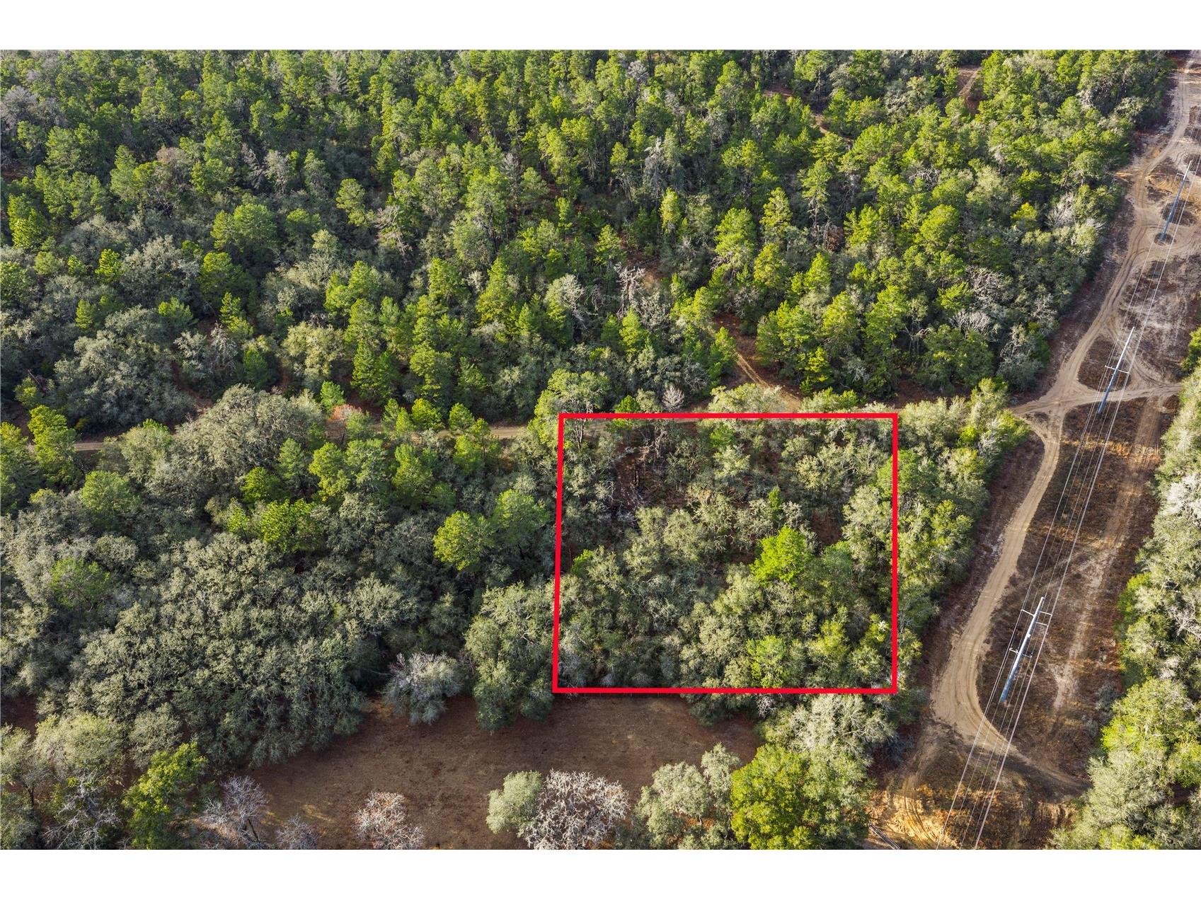 115 S Crestview Avenue Inverness FL 34452 OM716923 image2