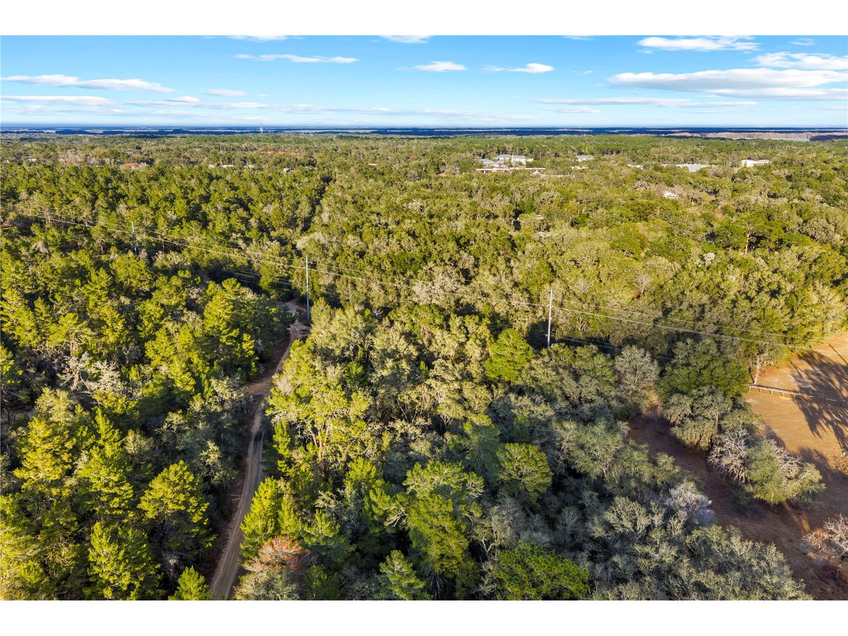 115 S Crestview Avenue Inverness FL 34452 OM716923 image23