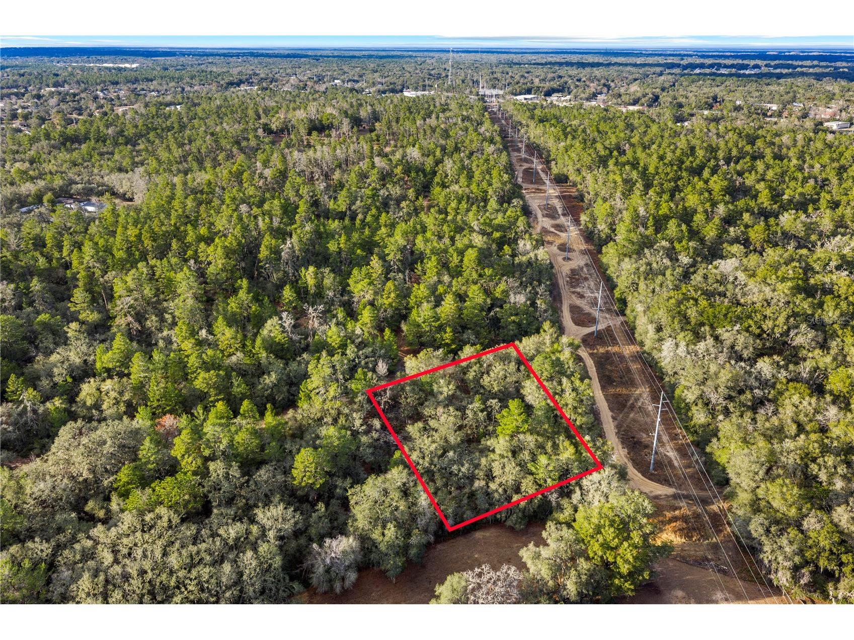 115 S Crestview Avenue Inverness FL 34452 OM716923 image3