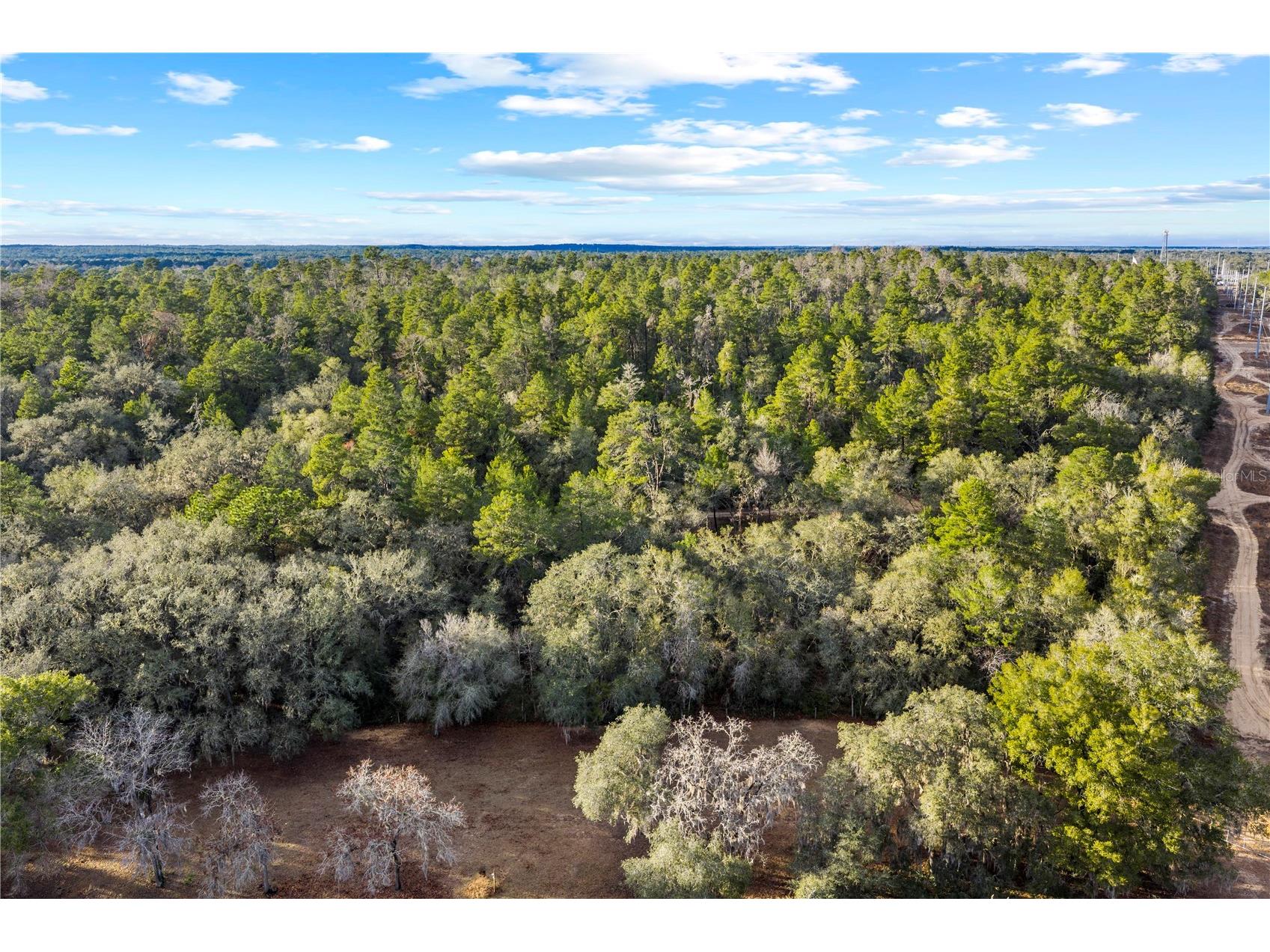 115 S Crestview Avenue Inverness FL 34452 OM716923 image32