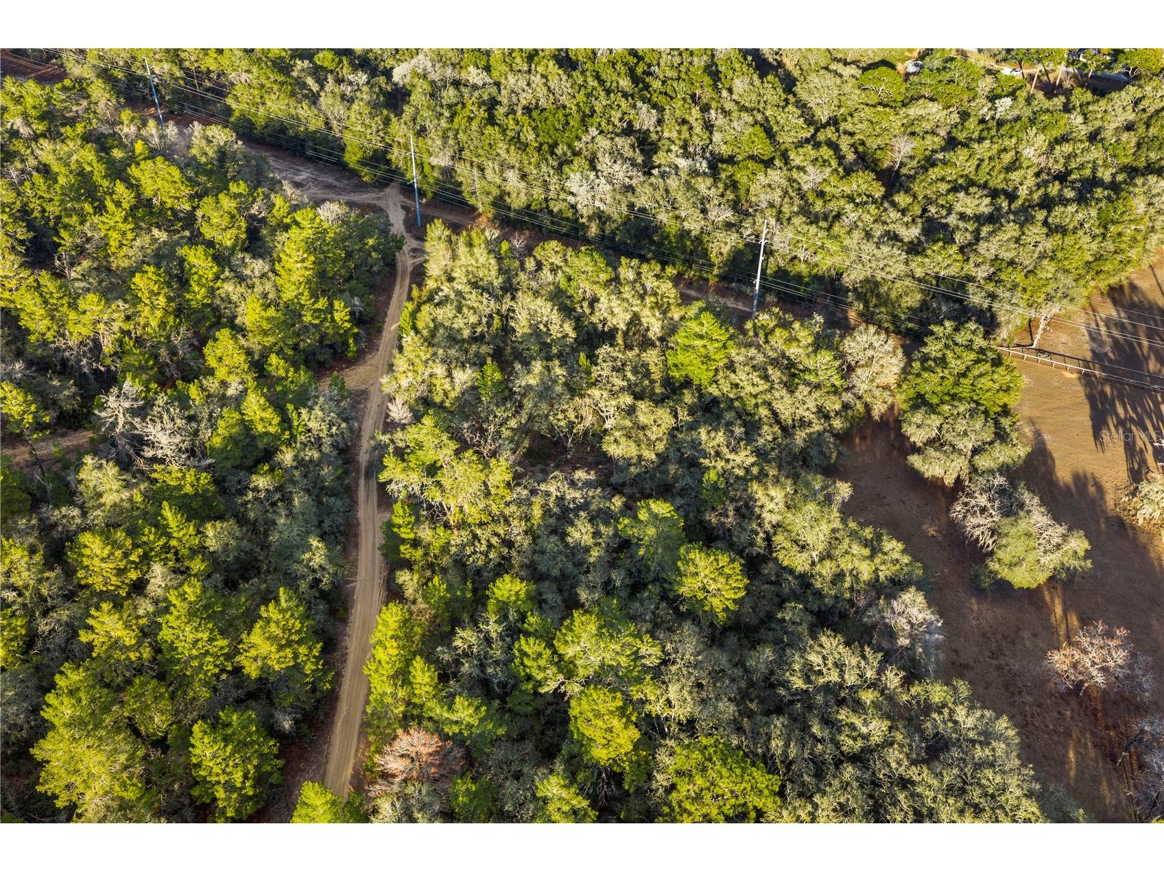 115 S Crestview Avenue Inverness FL 34452 OM716923 image35