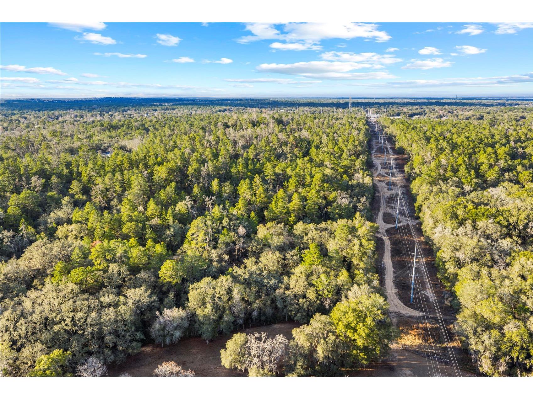 115 S Crestview Avenue Inverness FL 34452 OM716923 image36