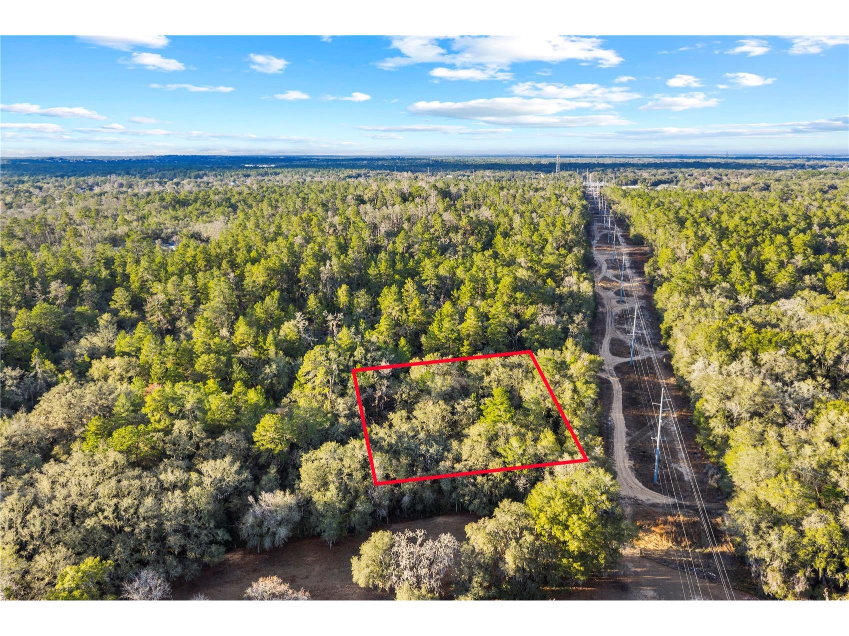 115 S Crestview Avenue Inverness FL 34452 OM716923 image8