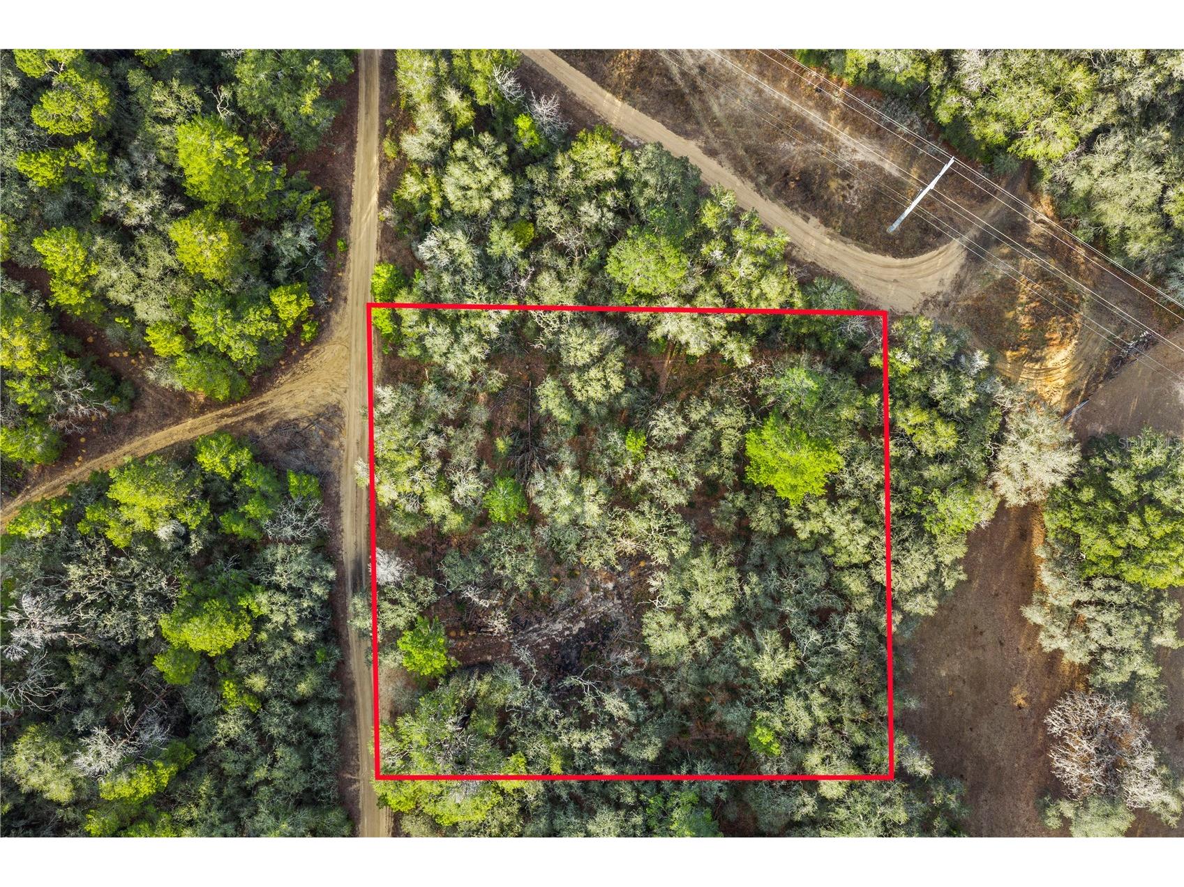 115 S Crestview Avenue Inverness FL 34452 OM716923 image9