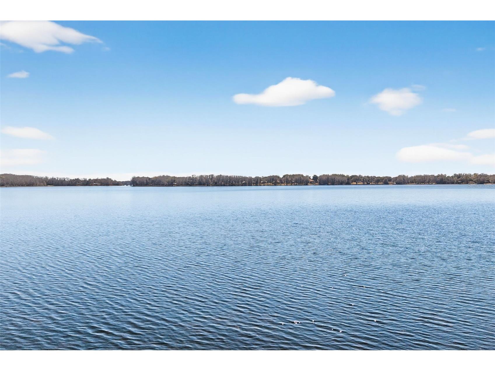 115 S Hunting Lodge Drive Inverness FL 34453 OM718589 image6