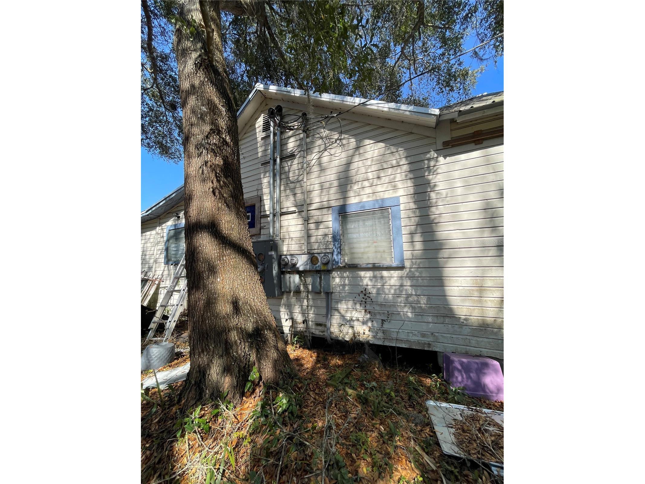 115 SE 1st Avenue Williston FL 32696 GC539453 image5