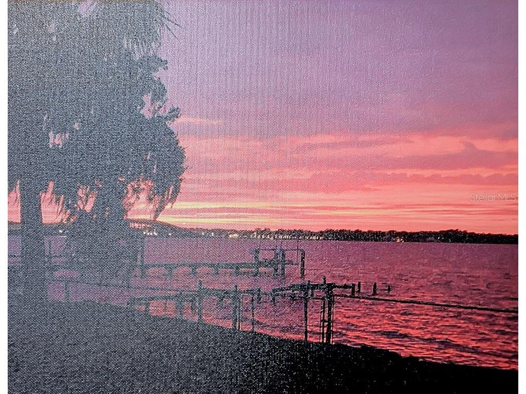 115 Sunset Point Road East Palatka FL 32131 FC312404 image2