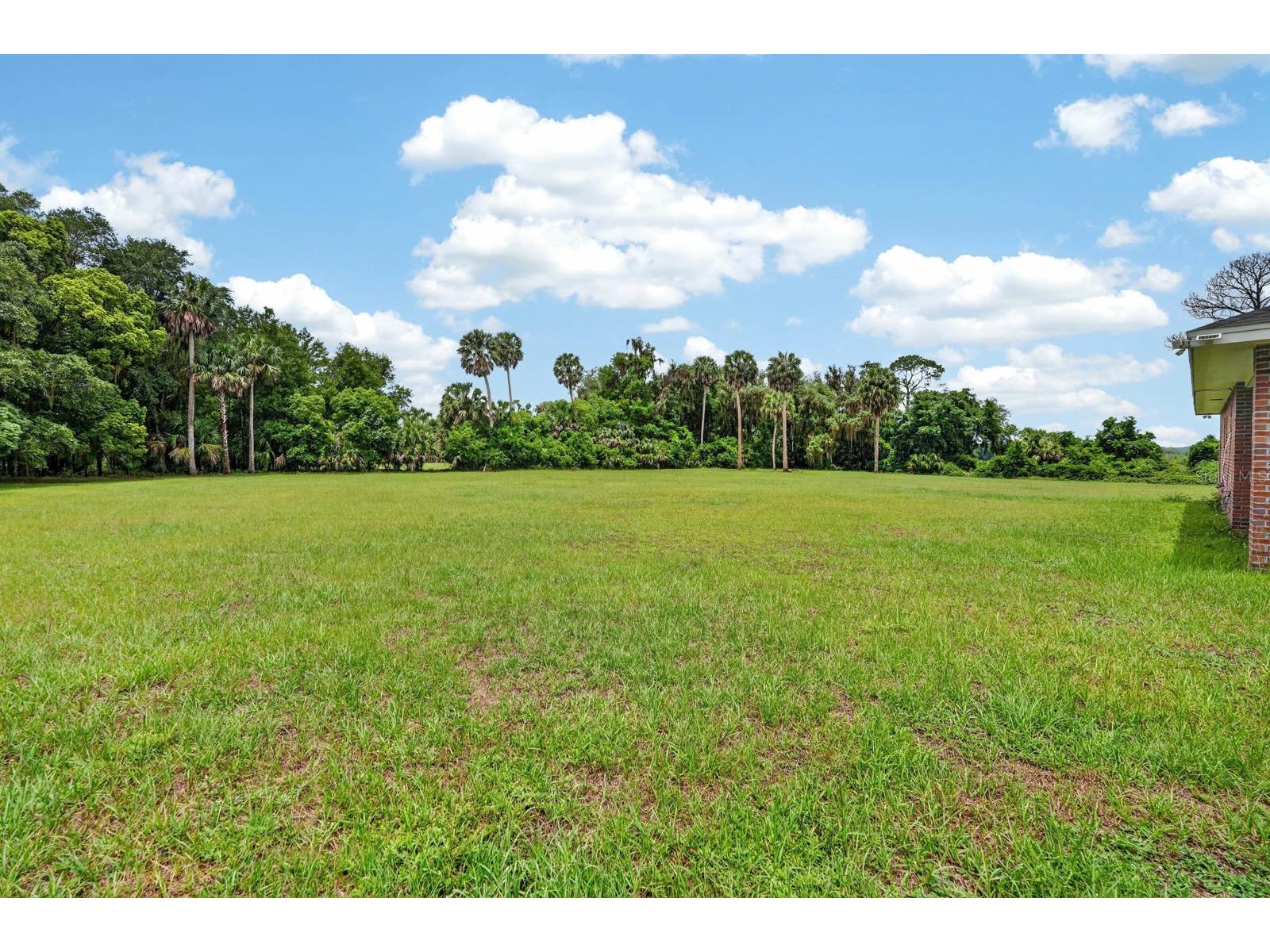 115 Tangelo Terrace Crescent City FL 32112 V4949452 image31