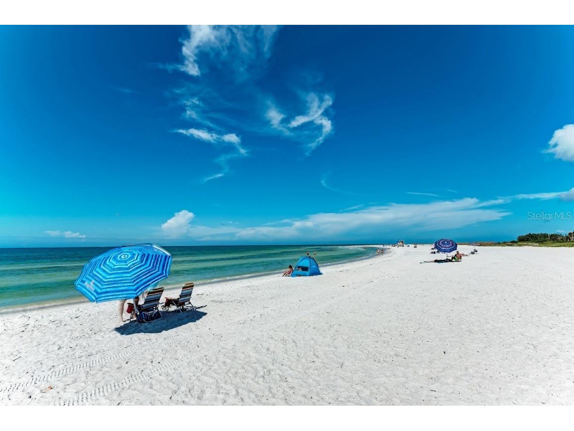 115 Tyler Drive #203 Sarasota FL 34236 A4630025 image30