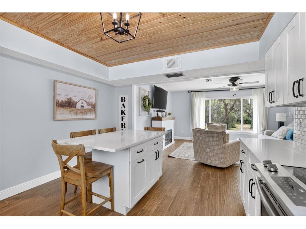 115 W Brentridge Drive Brandon FL 33511 TB8514078 image12