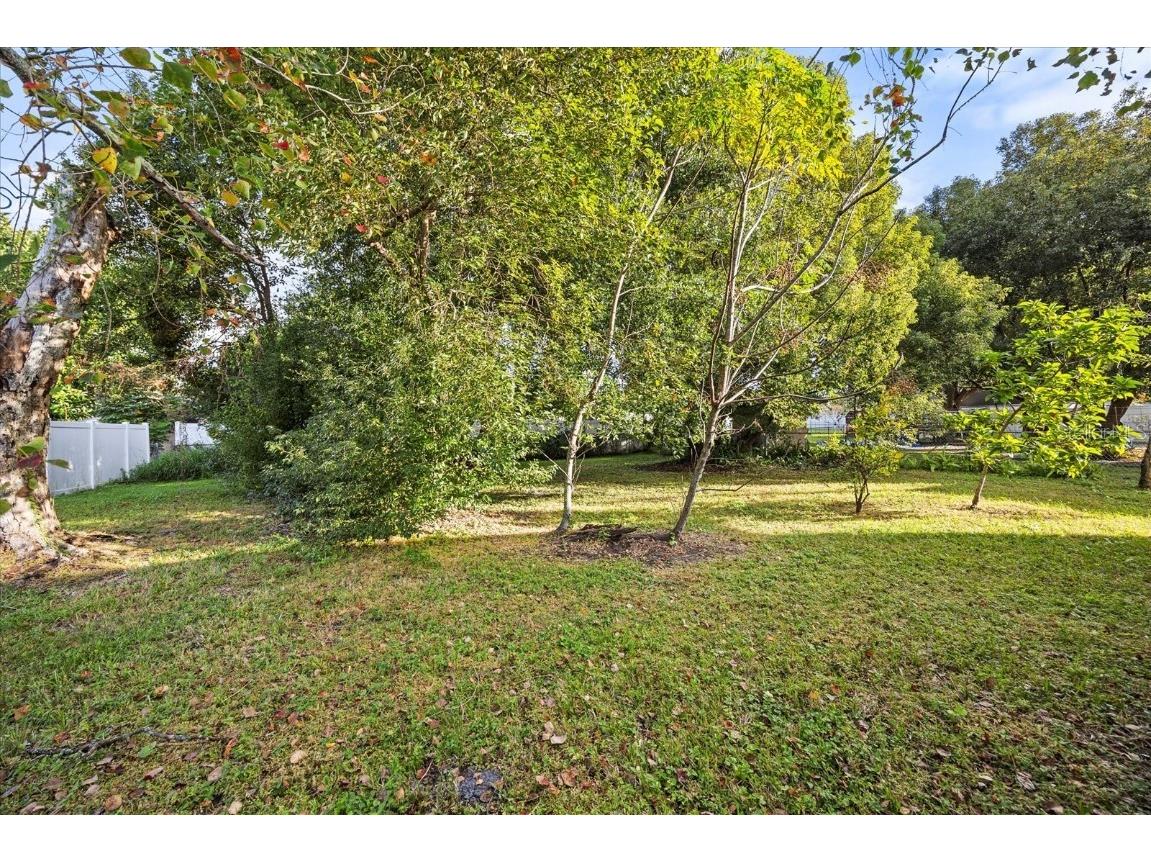 115 W Fillmore Avenue Orlando FL 32809 O6358697 image22