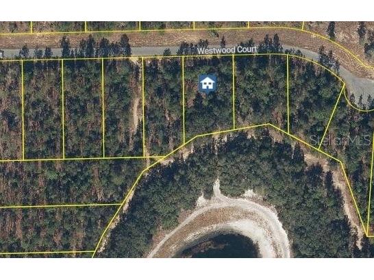 115 Westwood Court Interlachen FL 32148 FC315954 image1