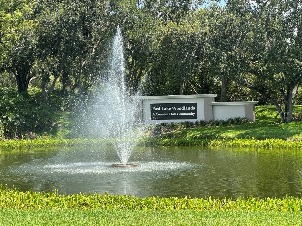 115 Windward Place #15 Oldsmar FL 34677 TB8415558 image23