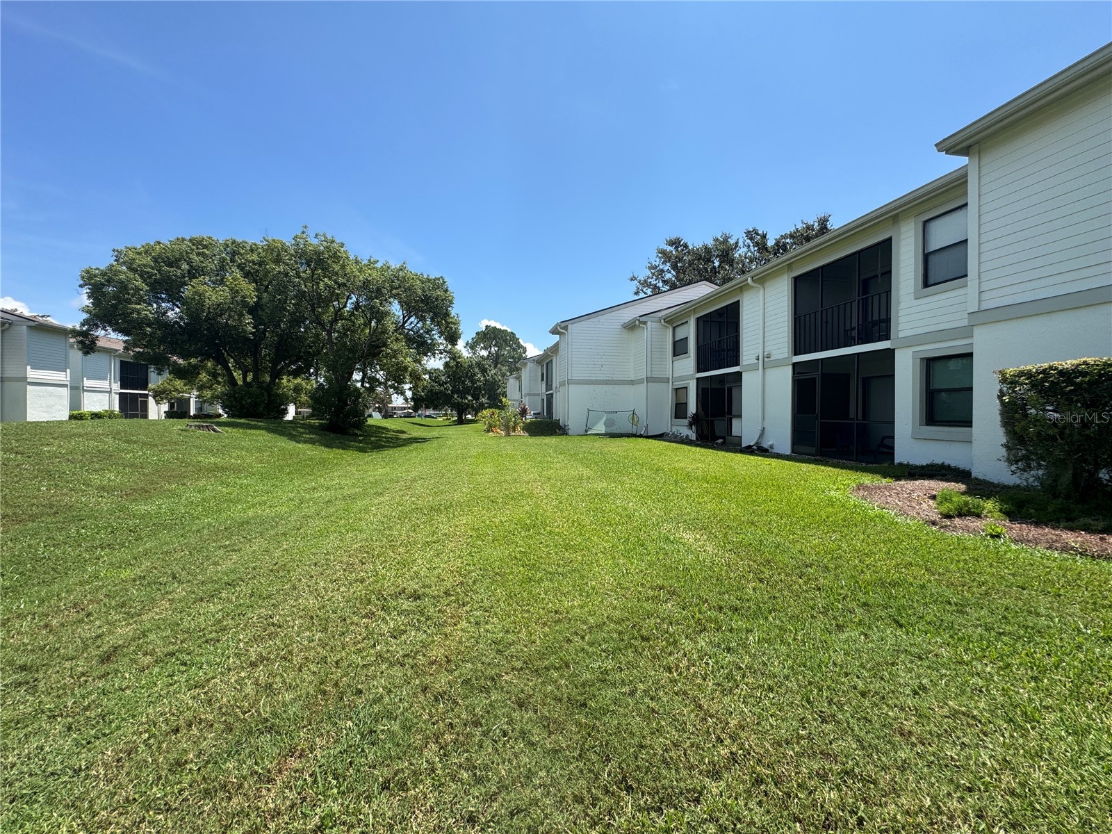 115 Windward Place #15 Oldsmar FL 34677 TB8490824 image20