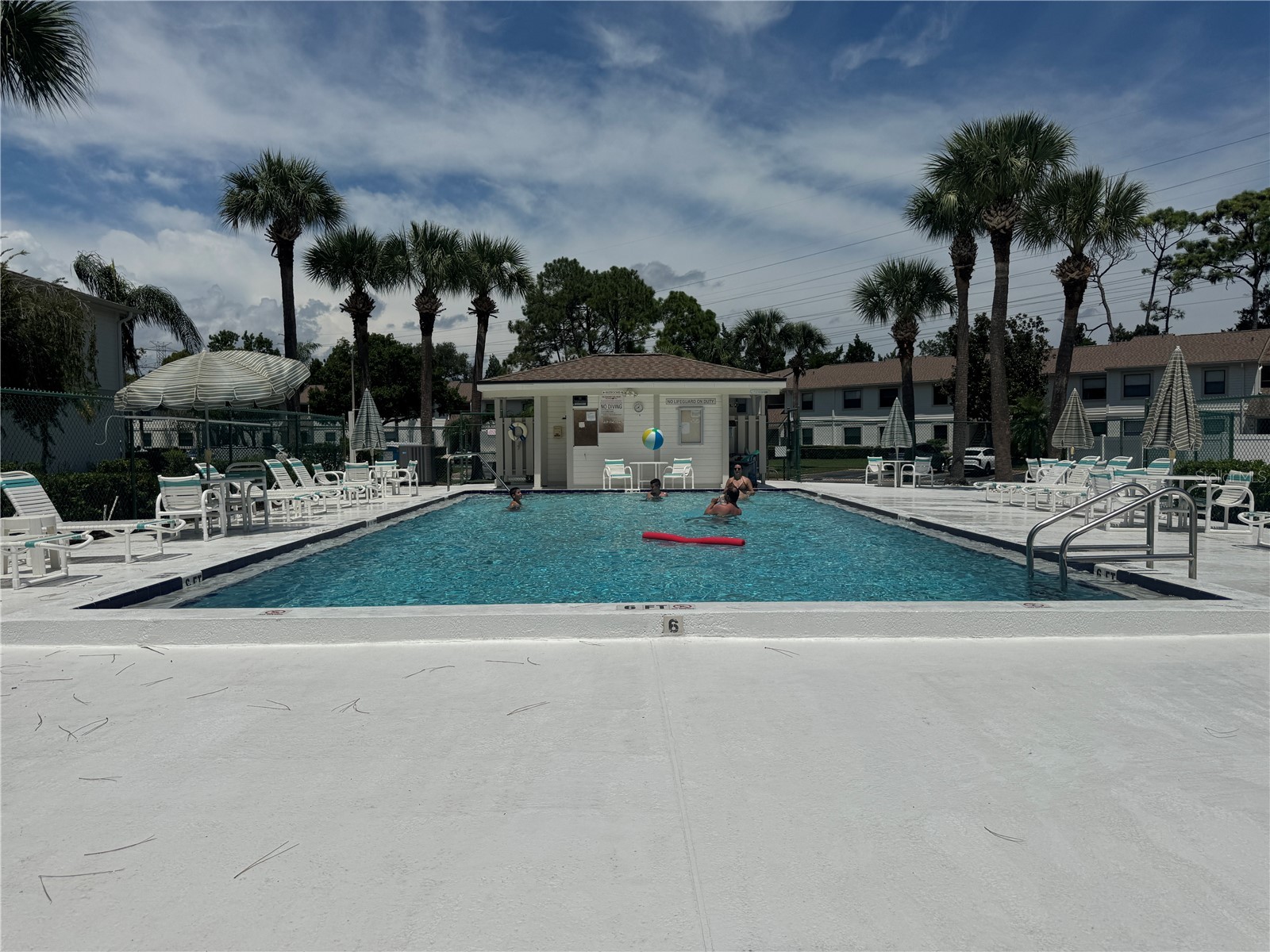 115 Windward Place #15 Oldsmar FL 34677 TB8490824 image22